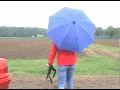 Regenschirm Birdiepal, extrem robust f�r Outdoor, Treklking und Adventure